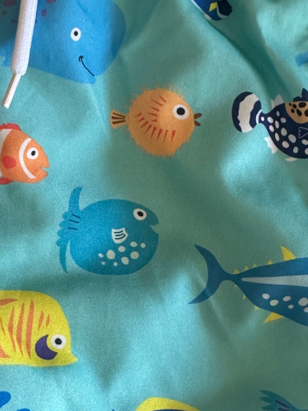 Baby Boys Cartoon Fish Swim Shorts And Hat Set - Picture 3 of 9